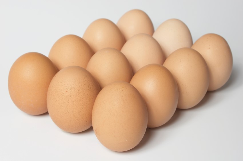 eggs